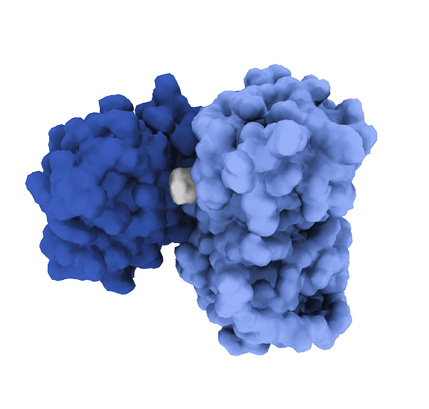 neomorph molecular glue