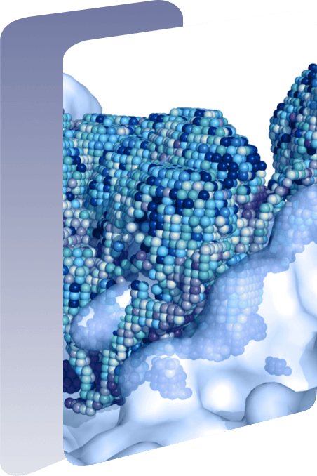 Our Story - Neomorphic Surface