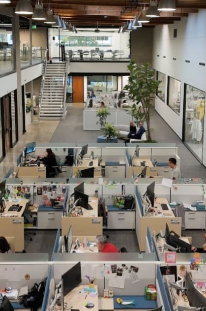 neomorph office